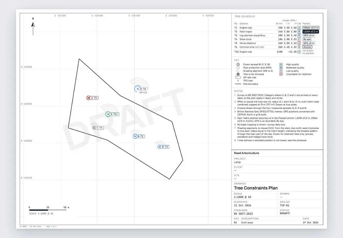 A Tree Constraints Plan from Tree Atlas, marked DRAFT: the site boundary with trees labelled by category, their crowns and root protection areas, a north arrow and a 1:1000 scale bar, beside the tree schedule, the key, the notes and the title block.